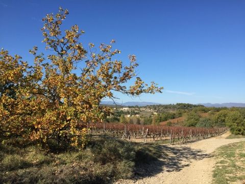 Chemin de randonnée