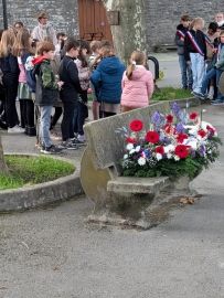 PXL_20251111_094643267